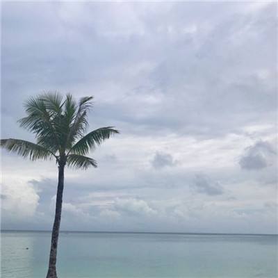 绝地编程战车免费版下载